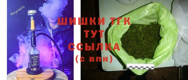 дмт Медвежьегорск