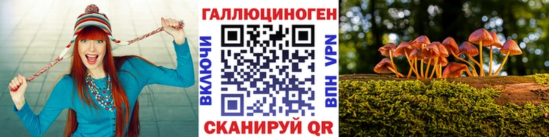 Галлюциногенные грибы прущие грибы Купить Череповец